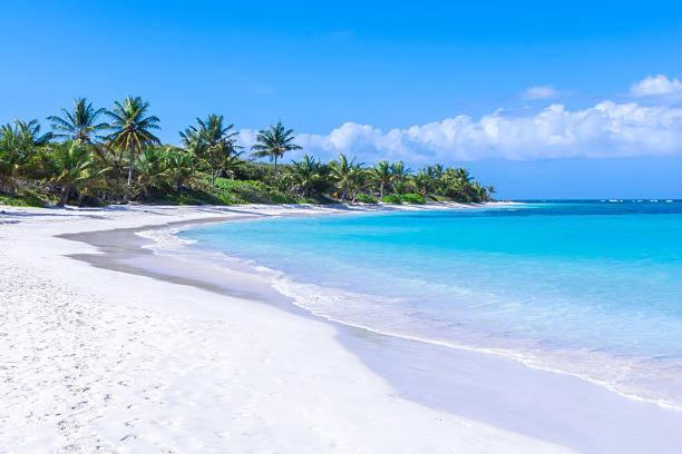Chill Spot Villa Ceiba Екстериор снимка
